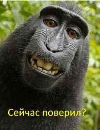 16 самых безумных поступков, которые никого не оставят равнодушным