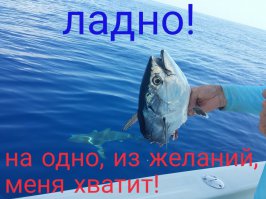 Фотоподборка за 30.06.2015