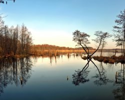 В России болот больше, чем во всем мире, а ни одной фотки не выложили. Васюганское болото по площади как Бельгия с Голландией и Люксембургом вместе взятые.