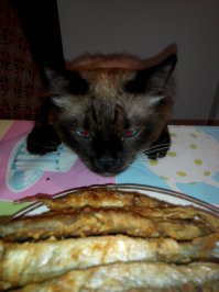Нескончаемые эпизоды))))
Это я еще не заснял как они пакет с мукой порвали и по всей кухне развезли)))