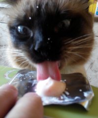 Йогурты-уегурты)))