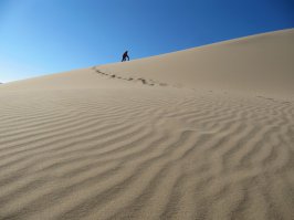 Пустыня Гоби :) Удивительная и незабываемая