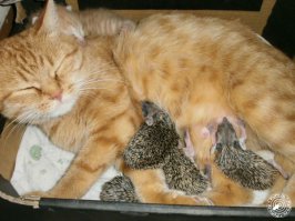 Вот эта моя любимая!