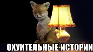 16 самых безумных поступков, которые никого не оставят равнодушным