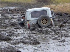 картинку забыл