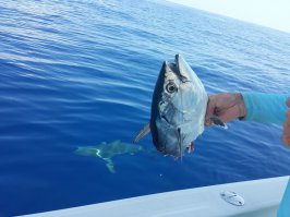 на суп оставила )))