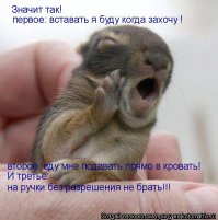 я завтра в отпуск!!!!!