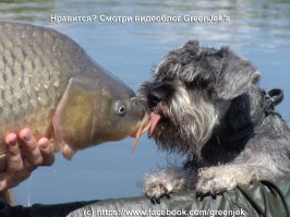 Не могу не поделиться:) Реальная рыбалка на водоеме Ульяныки:)