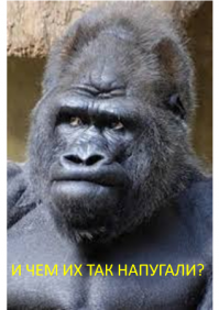 24 гримасы, прекрасно демонстрирующие жизнь женщин в критические дни