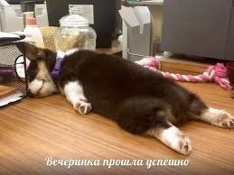 Спят усталые зверушки