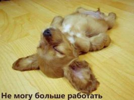 Спят усталые зверушки