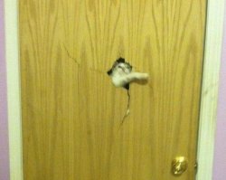 Не просится, а ЛОМИТСЯ