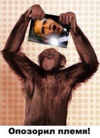 Подборка демотиваторов 