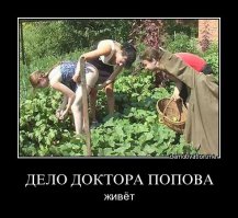 Десять причин начать есть огурцы каждый день