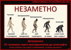 Родина жигулевского пива