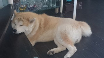 Наши сони)))))