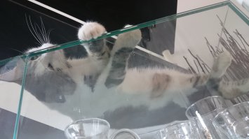 Наши сони)))))