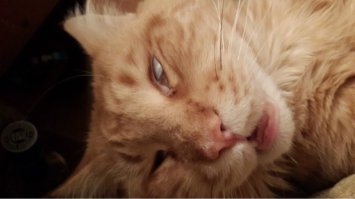 Вот так спим