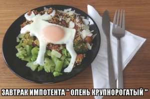 Фотоподборка за 01.07.2015