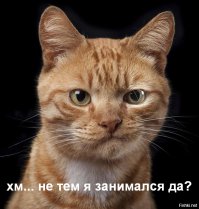 9 вещей, которые стоит делать до 10 утра