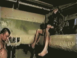 Больше всего от карандашей передёрнуло - сразу на 8 критериев удар