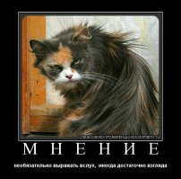 24 гримасы, прекрасно демонстрирующие жизнь женщин в критические дни