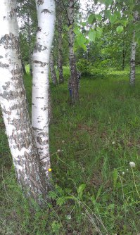 На прогулке с ребенком :)