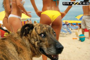 Все профессии важны, все профессии нужны