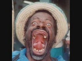 Как выглядит пасть верблюда