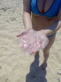 Медузу не заметил сначала.