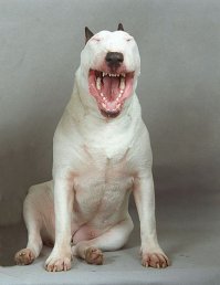 Юбилей на одометре