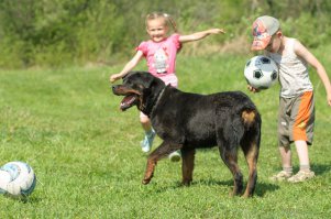 няшки все еще молоденькие, играть ох как любят)))