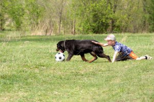 няшки все еще молоденькие, играть ох как любят)))