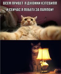 Странные и страшные истории с просторов даркнета