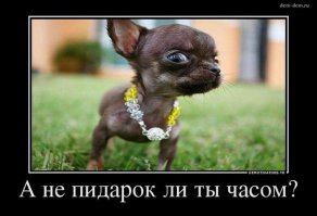 Почемуж, наоборот еще больше стало,что с Шварцом и с какого куя он поддерживает 3.14дарасов? да и сам ты...