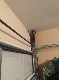 Домушник????