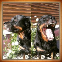 Да играть действительно любит))