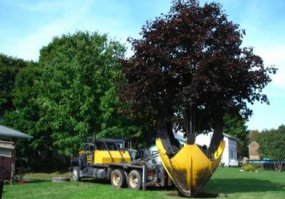 а о существовании такого чуда они не знают?