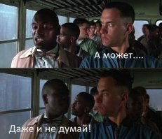 Дайте угадаю мысли фореста...