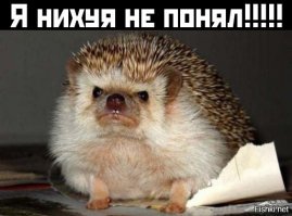 Странные и страшные истории с просторов даркнета