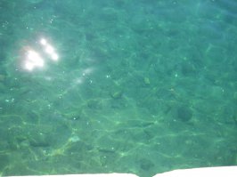 Моя Родина - Россия