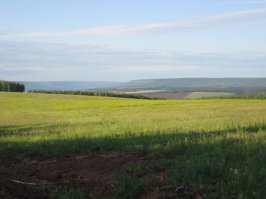 Моя Родина - Россия