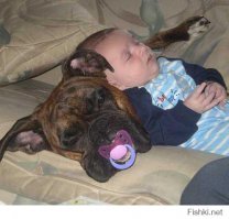 Спят усталые зверушки