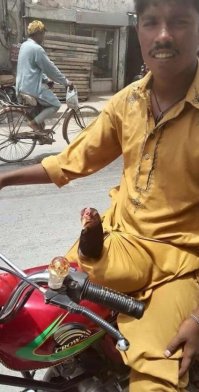 Мне бабушка в детстве всегда говорила- "Застегни ширинку, а то петушок улетит". Я думал это шутки...