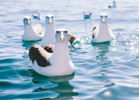 Мужчина, катаясь на аттракционе несколько раз потерял сознание