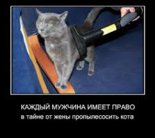 Сколько кошек - столько характеров, как у людей. Тема "Кошки и пылесос" благодатная, картинок -море, но ограничусь такой -