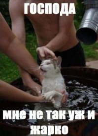 картинка баянистая но оч нравится :)