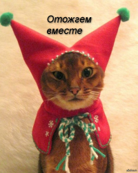 Юбилей на одометре