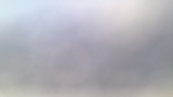 Пиши заяву в минтовку