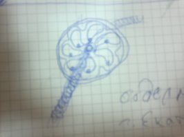 всякую ерунду рисую на совещаниях )))